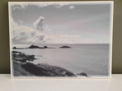 Achtergrond Vrije Vogel kust zee wolken 40x30 liggend