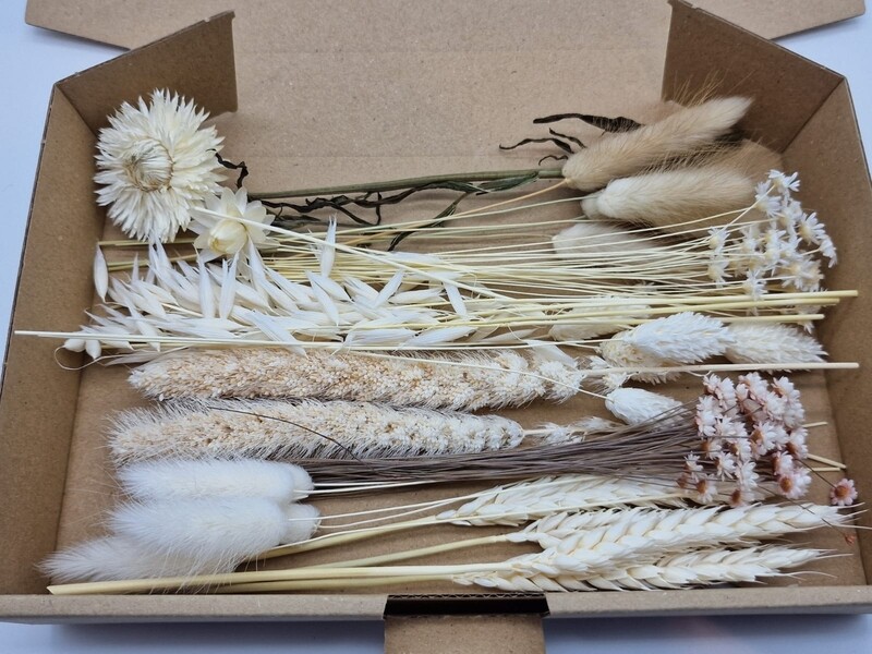 Trockenblumenbox Weiß/Natur