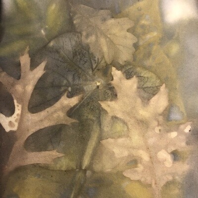 EcoPrints