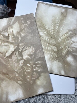 EcoPrint Journals -- Brown Tones