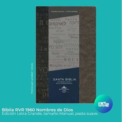 BIBLIA RVR 1960 NOMBRES DE DIOS Gris
