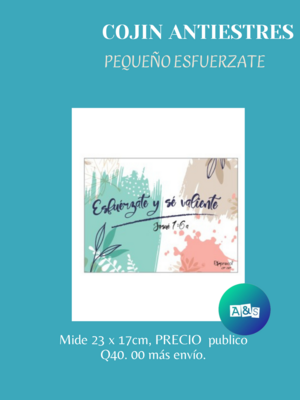 COJIN ANTI ESTRES PEQUEÑO VARIOS DISEÑOS