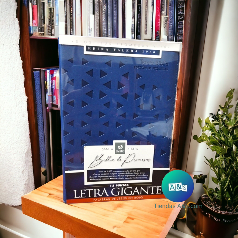 Santa Biblia RVR 1960 Edición de Promesas Unilit Letra Gigante 