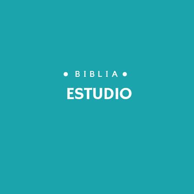 BIBLIAS DE ESTUDIO