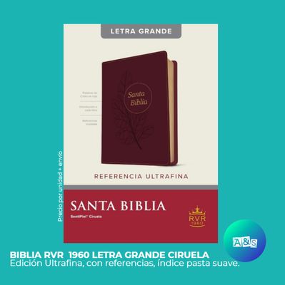 BIBLIA RVR 1960   LETRA GRANDE Ciruela Tyndale