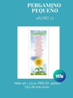 PERGAMINOS PEQUEÑOS