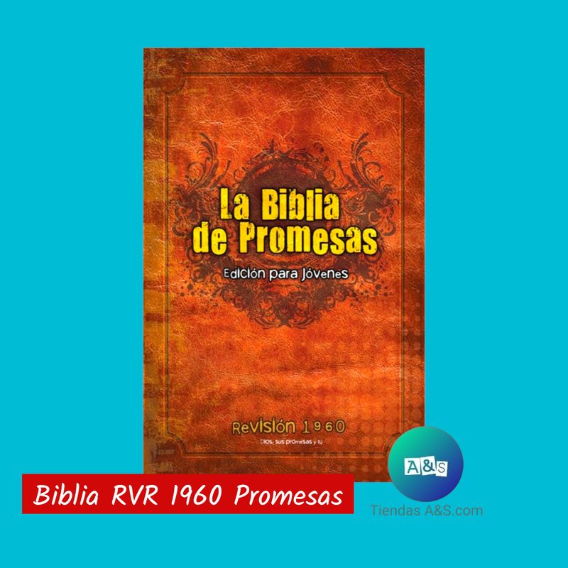 BIBLIA RVR 1960 Promesas Café p/dura 