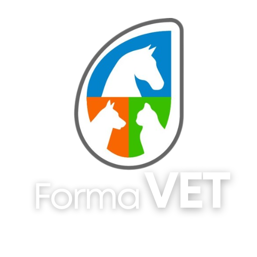 Forma mx cheap