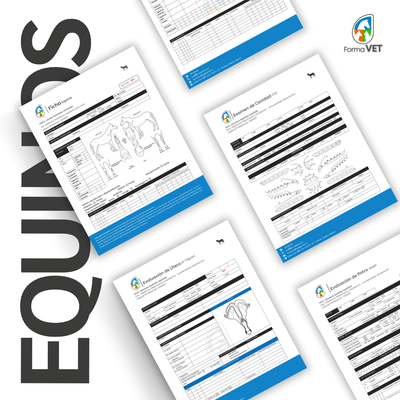 Formatos Equinos.