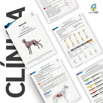 Manual en Clínica Veterinaria