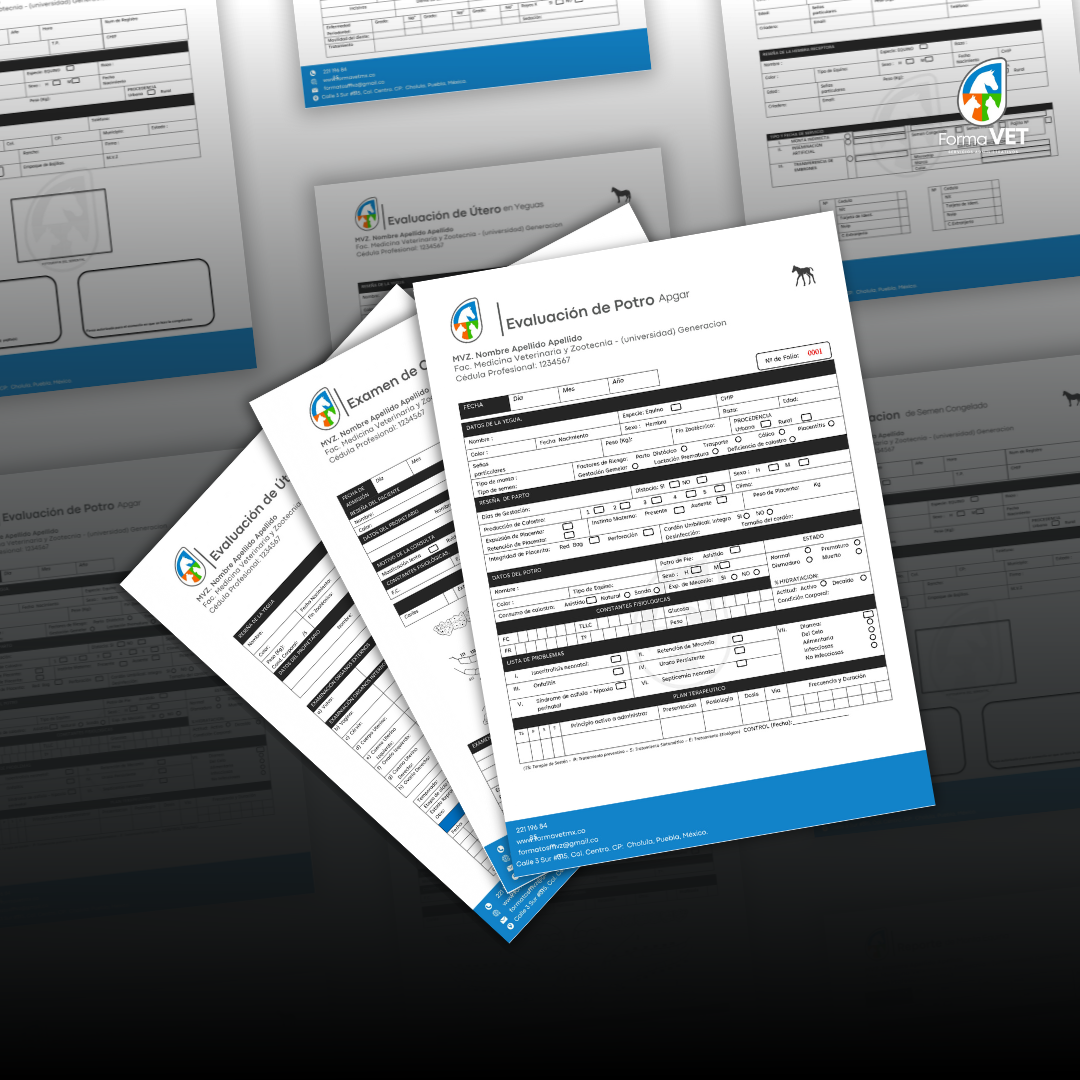 Formatos Equinos.
