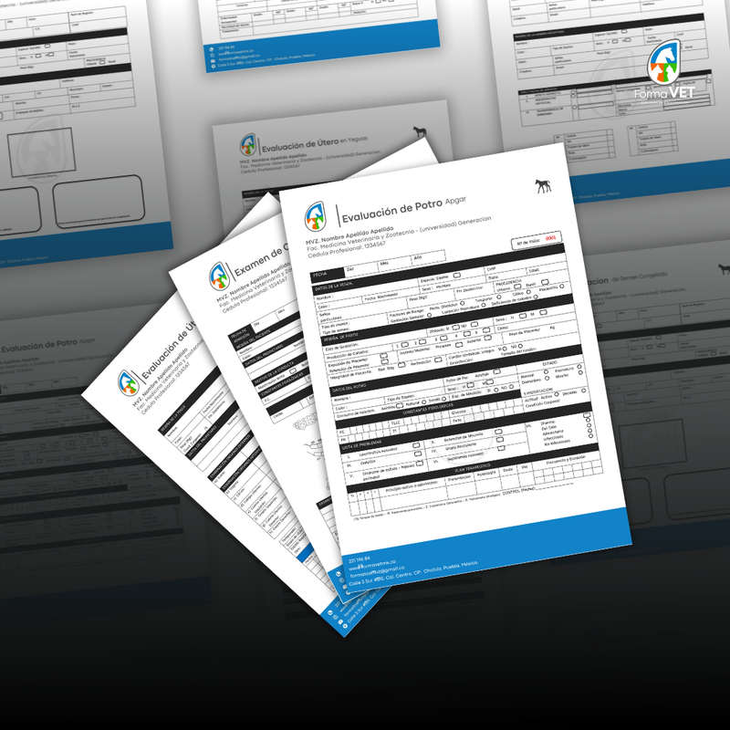 Formatos Equinos.