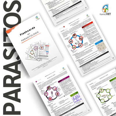 Flashcards en Parasitología Veterinaria