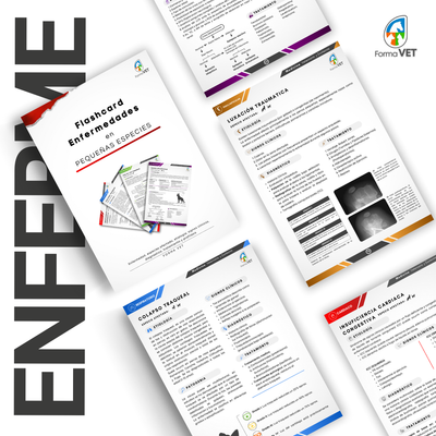 FlashCards Enfermedades Pequeñas Especies