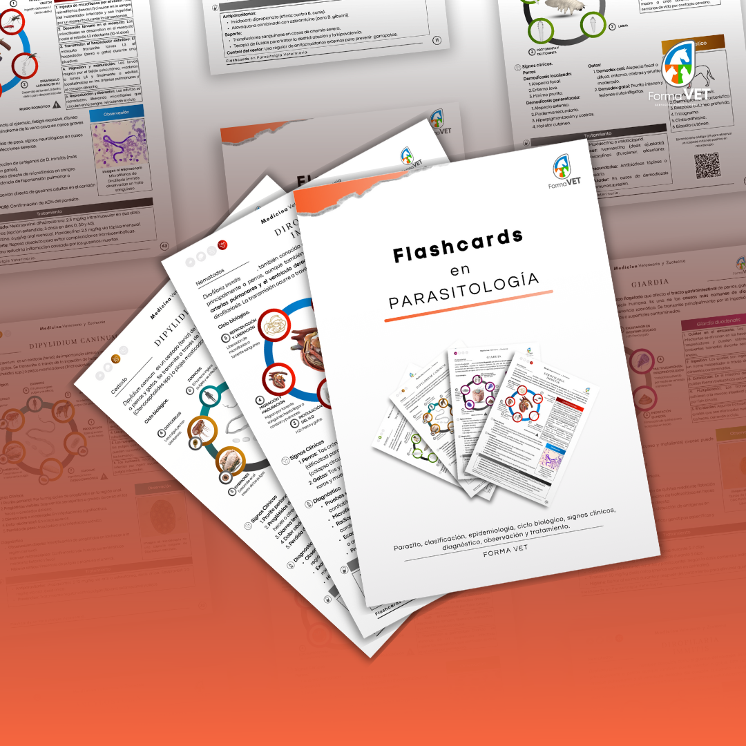 Flashcards en Parasitología Veterinaria