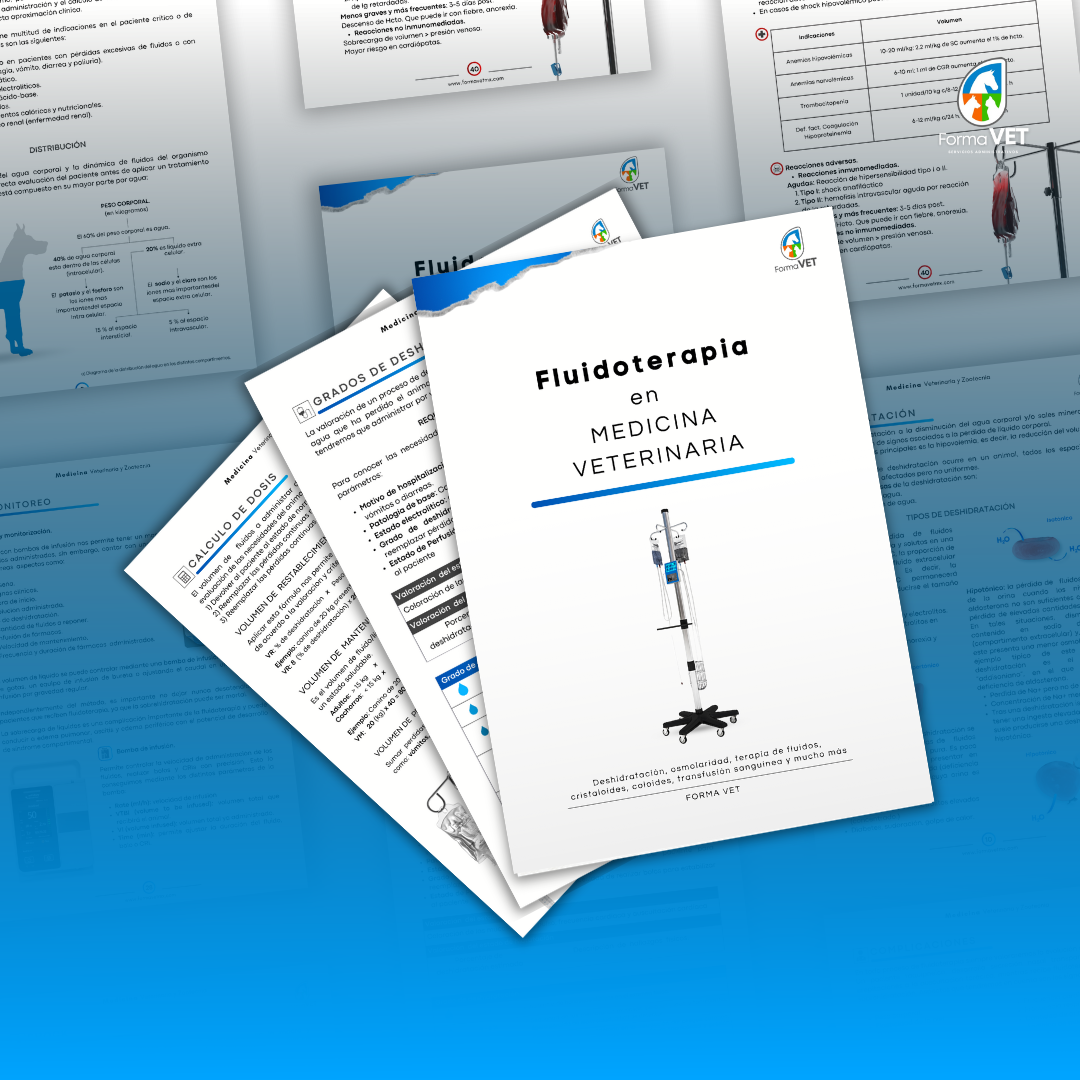 Fluidoterapia en Medicina Veterinaria