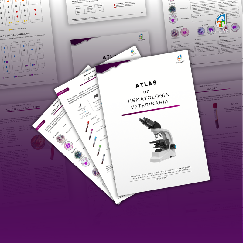 Atlas en Hematología Veterinaria