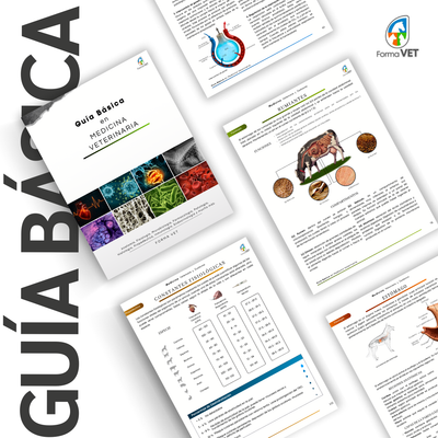 Guía Básica en Medicina Veterinaria