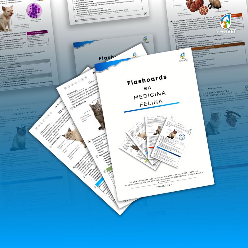 Flashcards en Medicina Felina