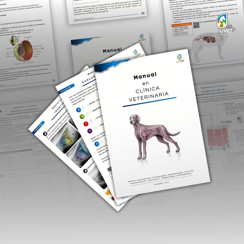 Manual en Clínica Veterinaria
