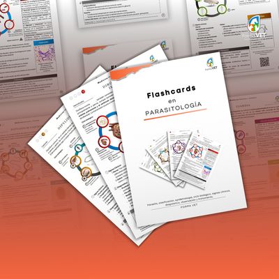 Flashcards en Parasitología Veterinaria