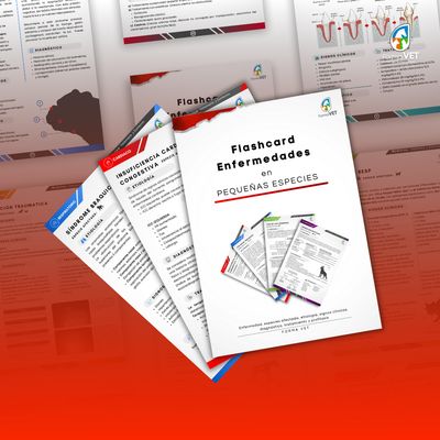 FlashCards Enfermedades Pequeñas Especies
