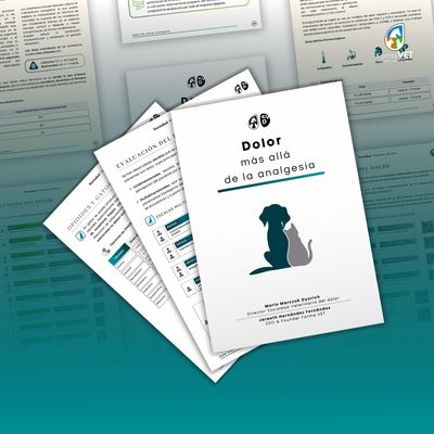 Dolor más allá de la analgesia