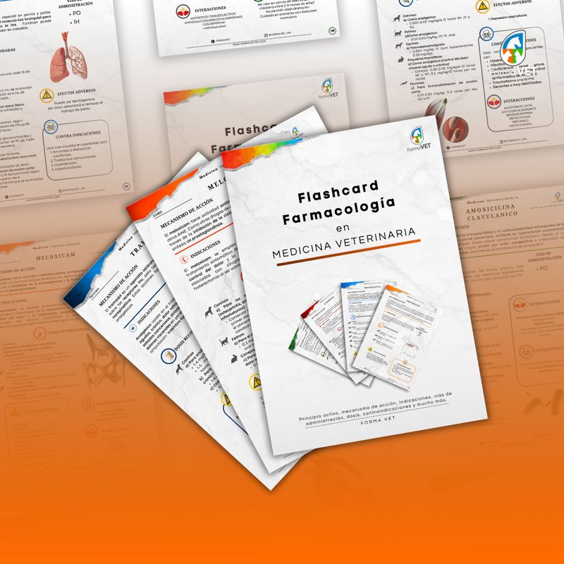 FlashCards en Farmacología Veterinaria