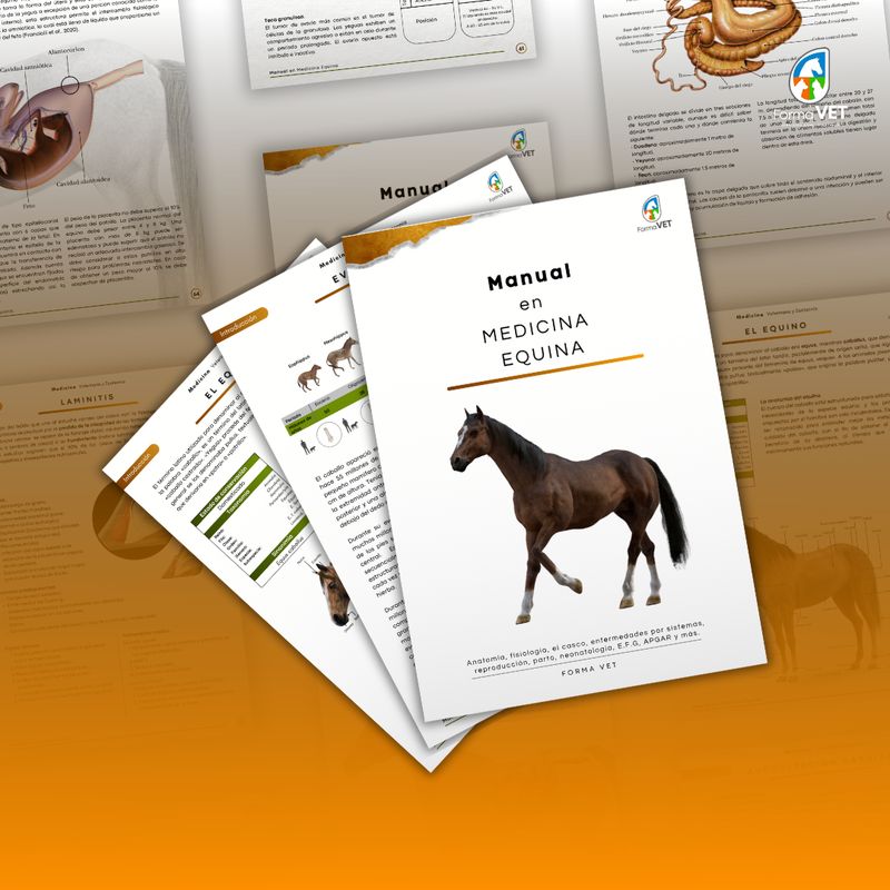 Manual en Medicina Equina