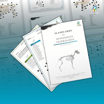 Flashcards en Osteología Veterinaria