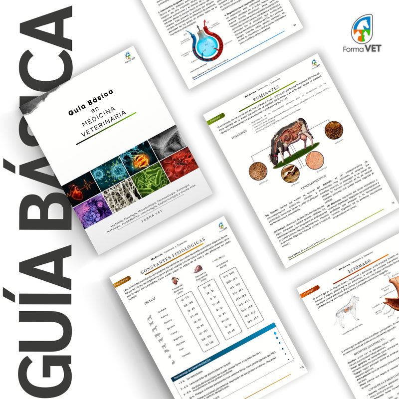 Guía Básica en Med Veterinaria