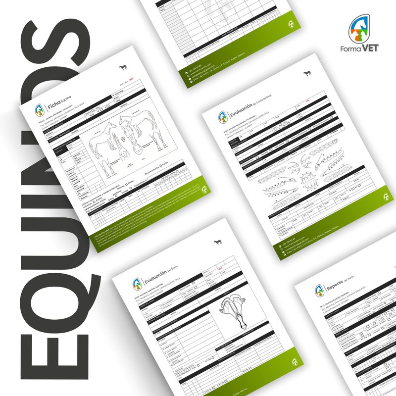 Formatos Equinos