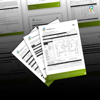 Formatos Equinos