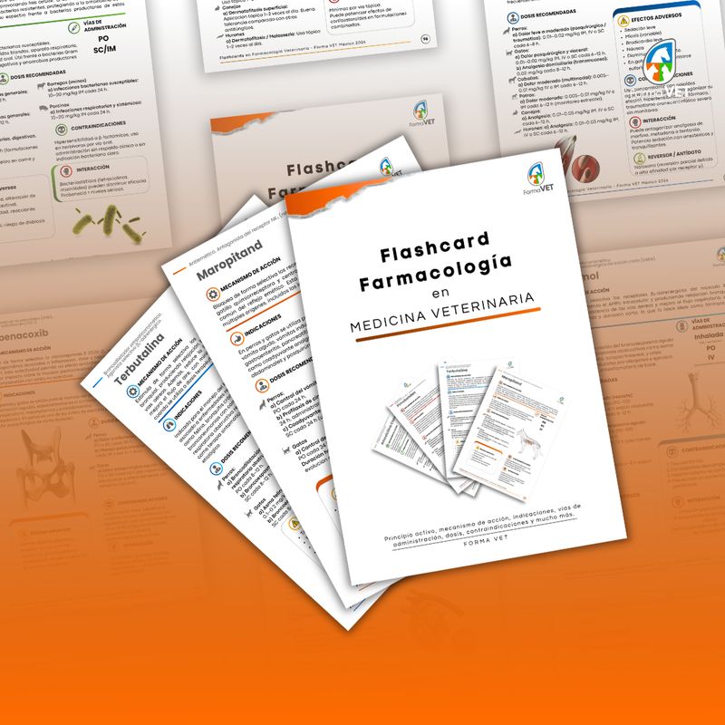 FlashCards en Farmacología Veterinaria