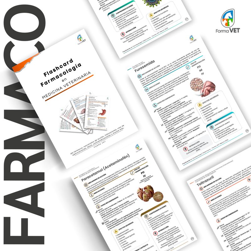 Flashcards en Farmacología