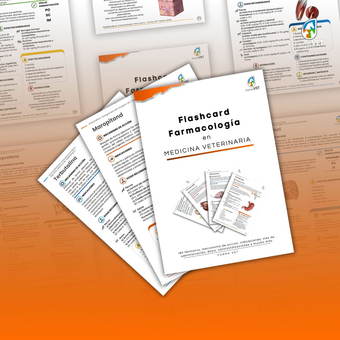 Flashcards en Farmacología