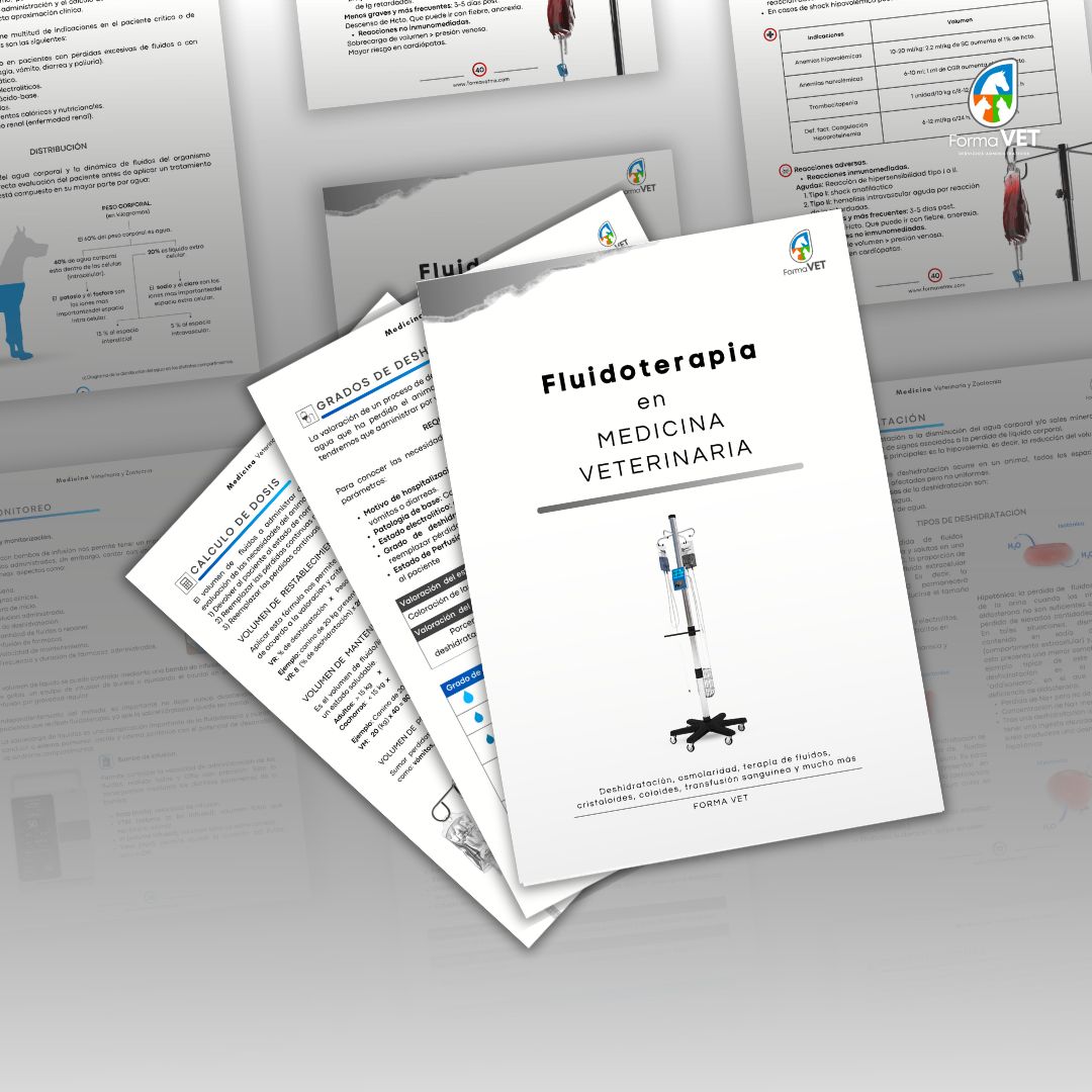 Fluidoterapia en Medicina Veterinaria