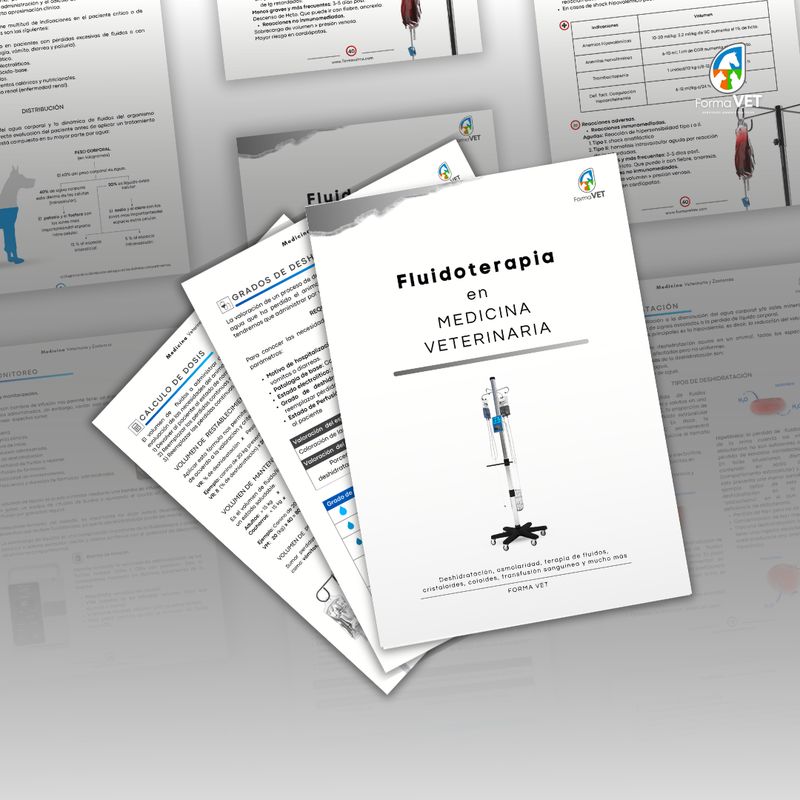 Fluidoterapia en Medicina Veterinaria
