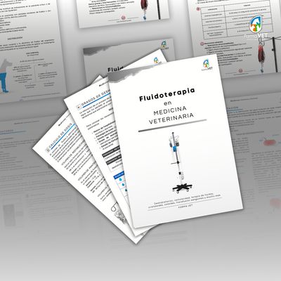 Fluidoterapia en Medicina Veterinaria