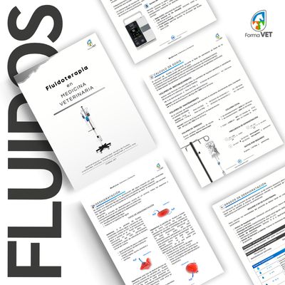 Fluidoterapia en Medicina Veterinaria