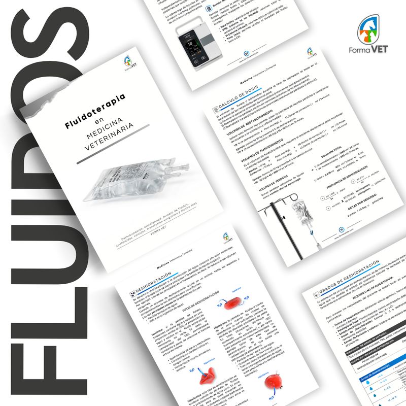 Fluidoterapia en Veterinaria