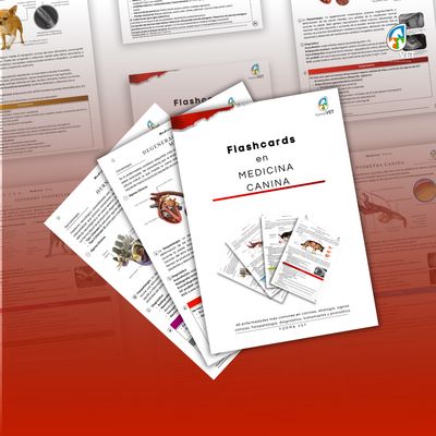 FlashCards en Medicina Canina FlashCards en Medicina Canina