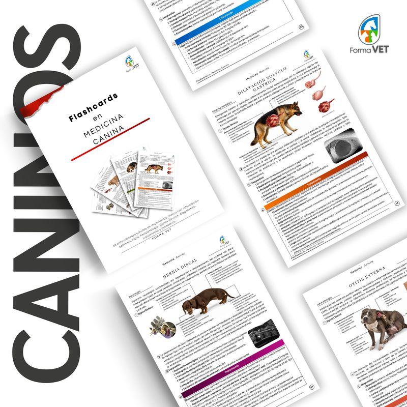 FlashCards en Medicina Canina