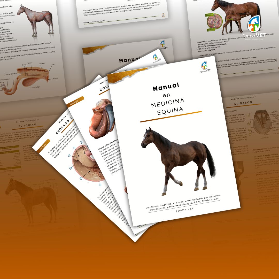Manual en Medicina Equina