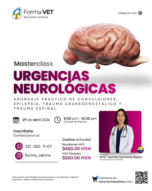 Urgencias Neurológicas en perros y gatos