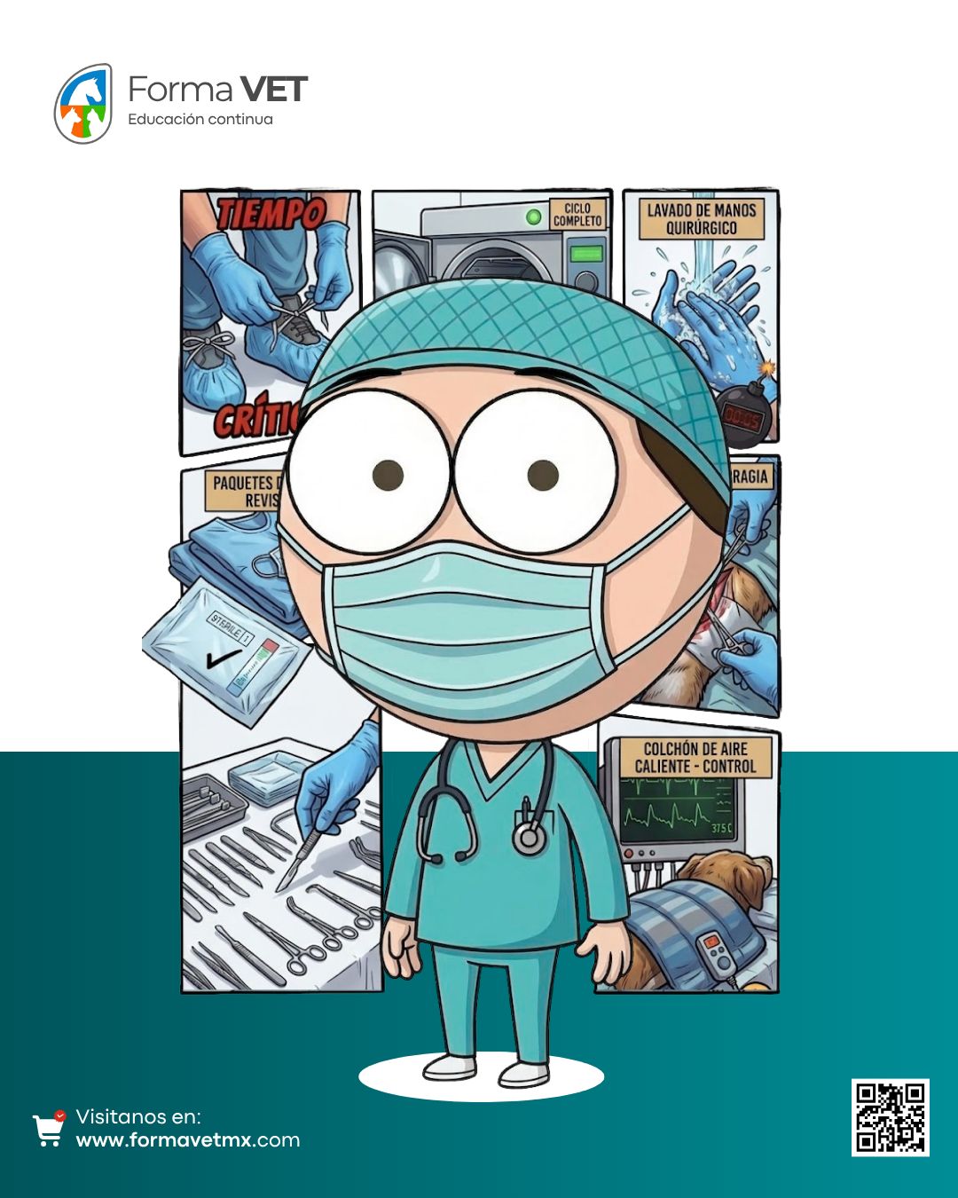 Principios Básicos de Cirugía en Tejidos Blandos