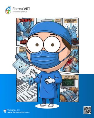 Principios Básicos de Cirugía en Tejidos Blandos