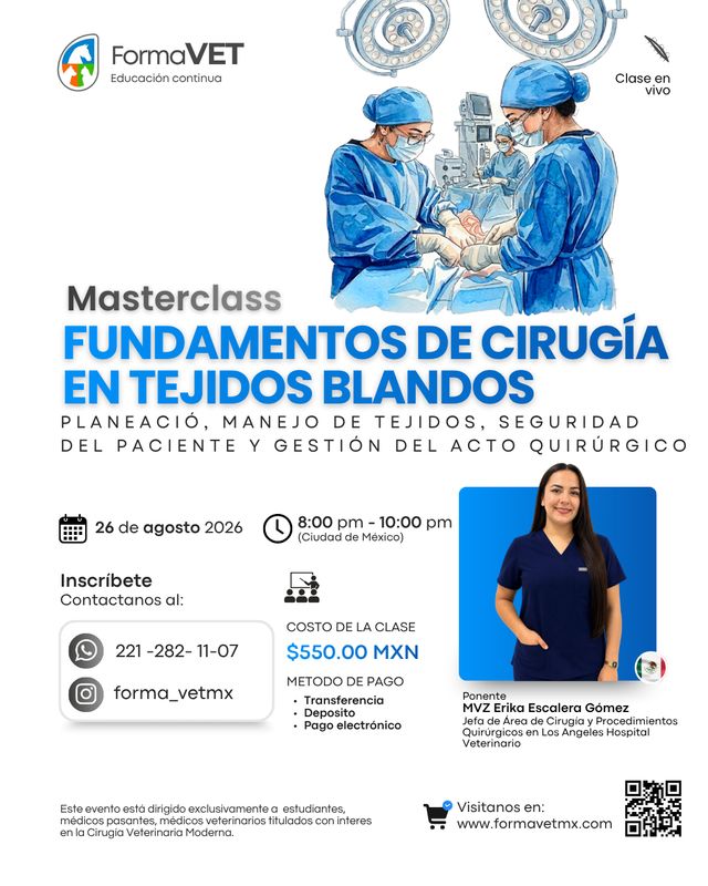 Fundamentos de Cirugía en Tejidos Blandos