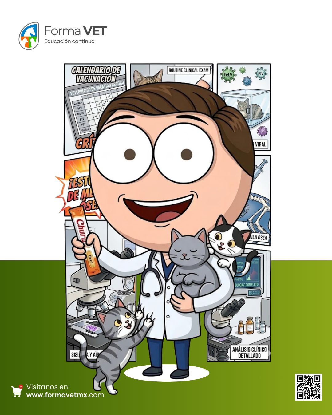 Enfermedades virales en gatos