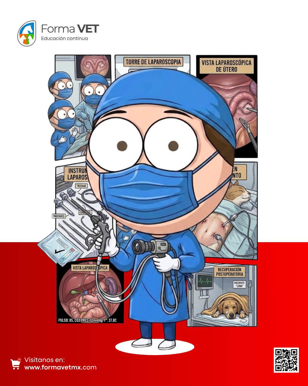 Principios de Laparoscopia Veterinaria